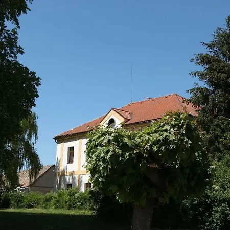 Adela's Czech * Vsejany